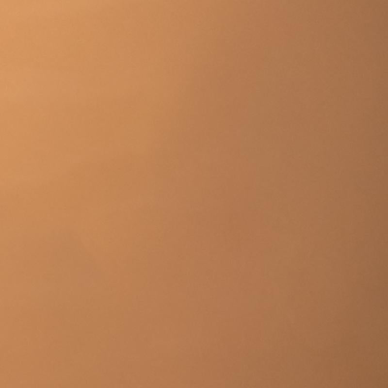 Palladio Skin Tint with Aloe 