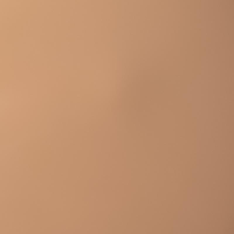 Palladio Skin Tint with Aloe 