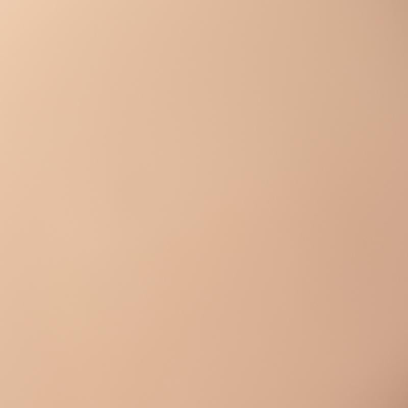 Palladio Skin Tint with Aloe 