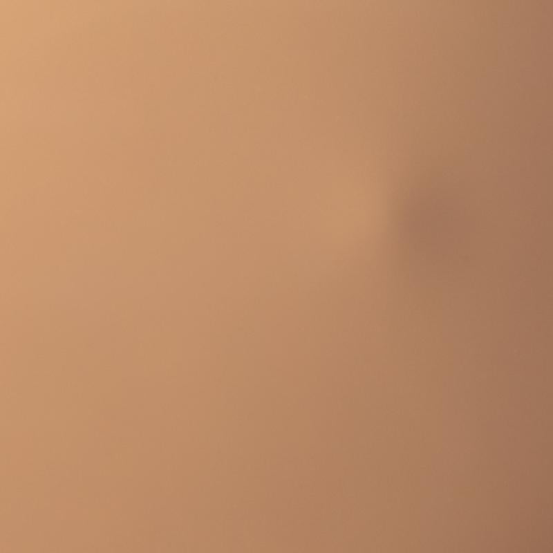 Palladio Skin Tint with Aloe 