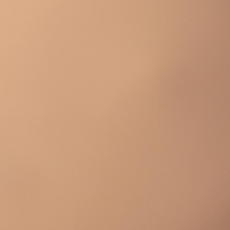 Palladio Skin Tint with Aloe 